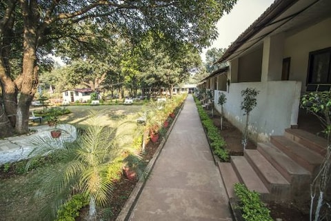 Ark Resort